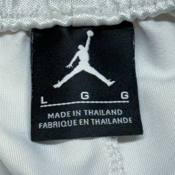 Nike Air Jordan Basketball Shorts Men's L White Shimmer Dazzle AJ1122-100 - Picture 2 of 14